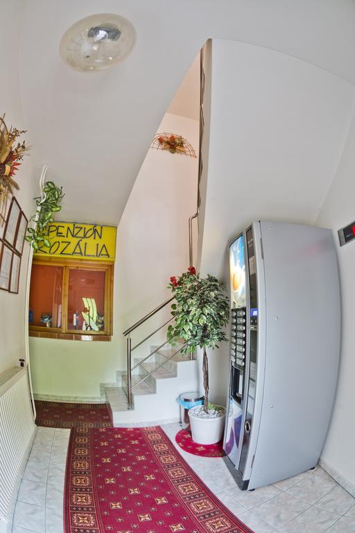Penzion Rozalia Hotel Kosice Ngoại thất bức ảnh